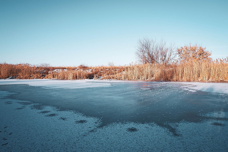 lake, ice, frost, frozen, trees, forest, nature, winter