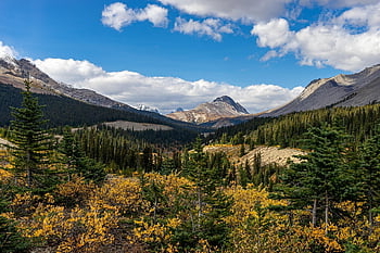 montagne, foresta, valle, campagna, catena montuosa, alberi, boschi, paesaggio, montagna rocciosa, scenario, panoramico