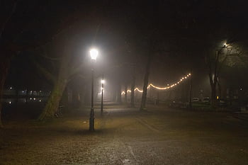 mlha, noční dobu, břeh řeky, městské krajiny, opar, venku, pozdě, světla, cesta, městský, noc