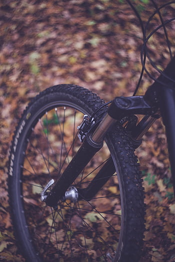 ruota di bicicletta nera, foglie marroni, pneumatico per mountain bike, sospensione, foglie d'autunno, pista, avventura, all'aperto, natura, Ciclismo, bicicletta