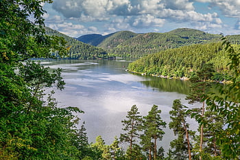lake, mountains, nature, reservoir, forest, trees, water, reflection, hohenwarte Reservoir, thuringia