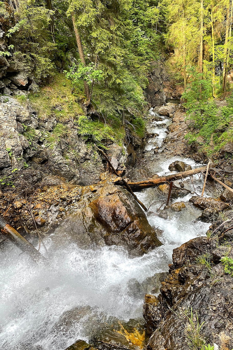 waterfall, stream, forest, water, flow, creek, torrent, rocks, trees, mountain, nature