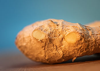 zázvor, oddenek, shell, koření, jídlo, zdravý, kuchyně, léčivé rostliny, drsný, kuchařka, čerstvý