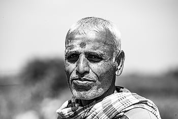 man, portrait, monochrome, life, male, street Photography, anil Sharma, photography By Anil Sharma, cow, flight In The Sky, animal