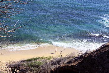 spiaggia tropicale sabbiosa, vista aerea, sfondo, bellezza, costa, isola, oceano, Paradiso, persona, rilassamento, mare