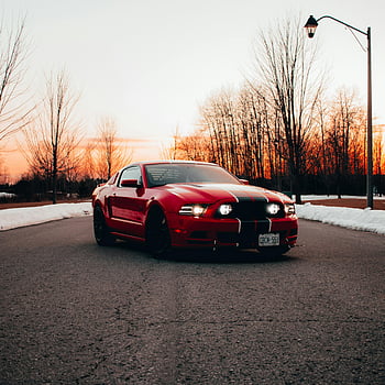 red sports car, Ford Mustang, asphalt road, sunset, winter evening, striking red, serene, trees, headlights, license plate, snowy road