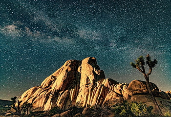 astronomy, milkyway, galaxy, joshua Tree, national Park, astro, stars, night