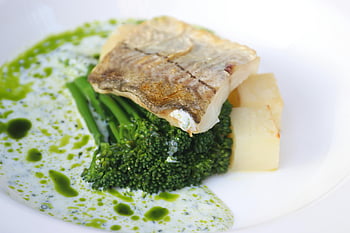 delicious fish, broccoli, gourmet fish, fresh broccoli, healthy meal, fish and broccoli, plate, sauce, gourmet dish, healthy food, green sauce