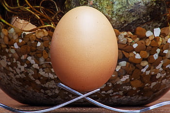 eggs, ingredients, baking, food, egg Carton, raw, cooking, healthy, eggshells, protein, whisk