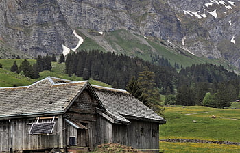montagna grigia, natura selvaggia, capanna, la regione di santis, alm, la casa grigia, cappello, pannelli solari, fienile, sopra, casa di legno
