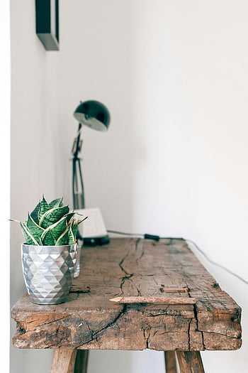 wooden table, table lamp, potted plant, rustic desk, minimalist interior, desk lamp, indoor plant, modern decor, home office, natural wood, geometric pot