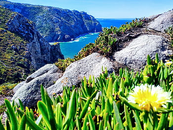 cabo de roca, Portugalsko, sintra, maják, mezník, oceán, letní, skalnaté, pláž, slunný, Příroda