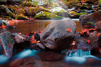 waterfall, autumn, color, slow Shutter, beautiful, season, fall, natural, forest, mountain, outdoor