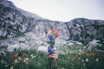 wildflowers, mountain landscape, colorful flowers, selective focus, red petaled flowers, blue petaled flowers, yellow petaled flowers, scenic view, hand holding flowers, nature photography, outdoor scenery