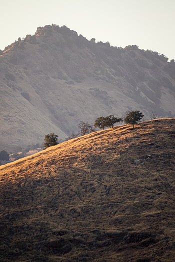 colline, paesaggio, albero, natura, montagna, valle, naturale, escursione, Esplorare, sfondo, vista