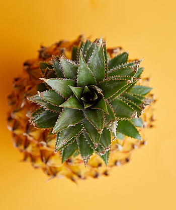 ananas, zelené listy, exotické ovoce, Čerstvý ananas, zralý ananas, Vibrující top pohled, žluté pozadí, tropické ovoce, ananas koruna, Ananasova čerstvost, listy ananasu