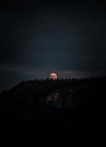 nacht landschap, volle maan, donker bos, berg silhouet, dramatische nacht, bomen silhouet, beboste berg, nachtelijke hemel, maan opkomst, nacht scene, natuurlijke omgeving