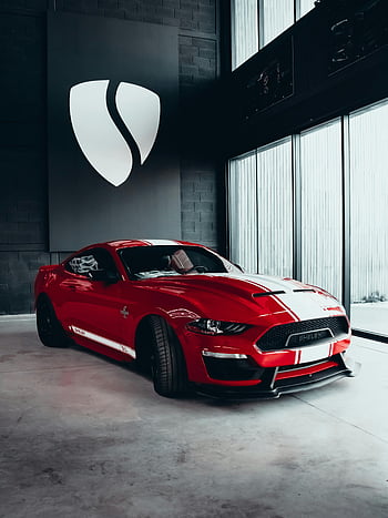 Shelby Mustang GT, red sports car, modern indoor showroom, striking red, Shelby Mustang, indoor display, sports car, modern showroom, red Mustang, Shelby GT, car showroom