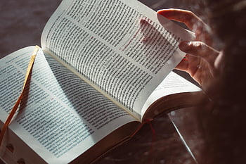 libro, Sacre scritture, leggere, formazione scolastica, pagine del libro, religione, Sacra Scrittura, studia, imparare