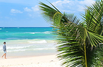 beach, Wallpaper, Wallpaper 1920x1080, hd Wallpaper, palm, sea, summer, ocean, vacations, man, full Hd Wallpaper
