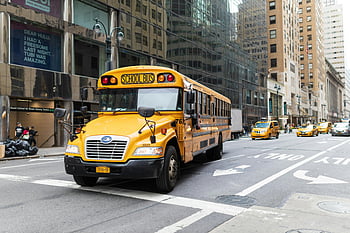 školní autobus, New York City, rušná ulice, vysoké budovy, taxíky, žlutý autobus, městské scény, městský provoz, školní doprava, panoráma města, Street View