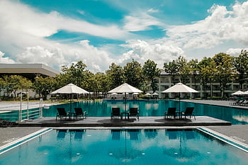 luxury resort, poolside, black outdoor lounge chair, blue swimming pool, white cloudy blue sky, summer vacations, umbrellas, lounge chairs, bright sky, resort poolside, trees
