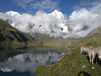 trekking huayhuash, cordillera huayhuash, turistické peru, osli, dobrodružství, Peru, Příroda, krajina, scénický, turistika, hora