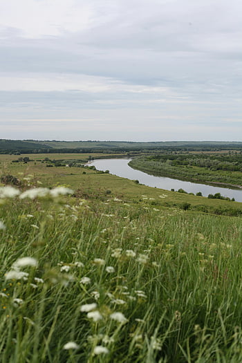 řeka tekoucí, wildflower louka, Mírový výhled na řeku, Svěží louka, květy, klidná obloha, nizhny novgorod, Rusko, přírodní krajina, krajina, klidné scény
