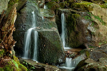 cascada, bosque, corriente, naturaleza, río, agua, paisaje, rocas, chapoteo, ambiente, fluido