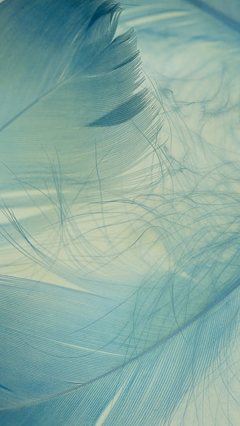 青い羽、 流れるストランド、 クローズアップの羽、 複雑な詳細、 ソフトテクスチャ、 羽のテクスチャ、 ブルーフェザークローズアップ、 流れる羽の詳細、 ソフトフェザーテクスチャー、 フェザーマクロ、 ブルーフェザーマクロ