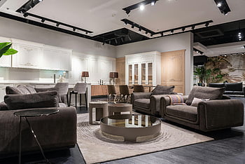 elegant möbler, modern butik, modernt vardagsrum, soffor, dekor, rymlig rum, styltare, vardagsrum möbler, modern inredning, elegant inredning, modern möbler