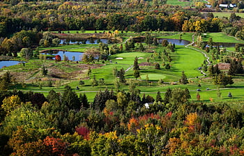 golf, kurz golfu, country klub, Příroda, podzim, les, rybník, letecký pohled, listy, sport, zelená