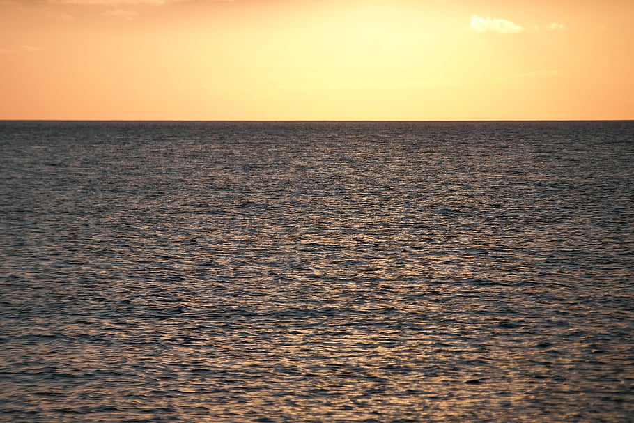 海、 地平線、 日没、 日の出、 真夜中の太陽、 黄、 ゴールド、 広がり、 見る、 自然、 風景