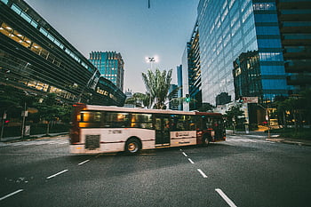 white bus, road, high-rise building, daytime, dynamic city scene, modern urban architecture, twilight, cityscape, urban environment, public transportation, street view
