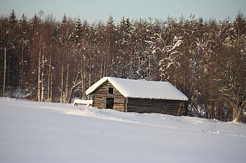 風景、 フィンランド、 自然、 冬、 雪、 木、 ラップランド、 コールド、 家、 シャレー、 川