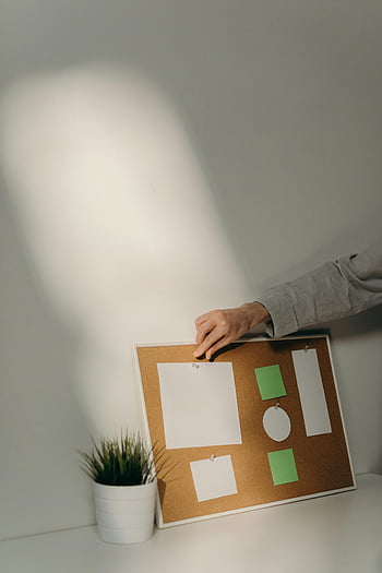 prikbord, hand vasthouden, minimalistische binnen, aantekeningen, plant in bloempot, witte muur, schaduw, Groene aantekeningen, Witte noten, binnenscène, minimalistisch ontwerp