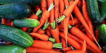 vegetables, garden, organic, carrots, cucumbers, zucchini, green, nature, harvest, agriculture, gardening