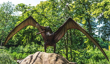 dinosaurus, dinosauří park, Modelka, prehistorie, prehistorický, zvíře, dravec, gad, zuby, nebezpečný, lov