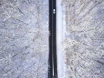 Luftaufnahme, verschneiter Wald, Winterstraße, Autofahren, Kroatien, Ansicht von oben, Straße umgeben von Bäumen, schneebedeckte Bäume, Winterlandschaft, Luftaufnahmen, schneebedeckte Landschaft