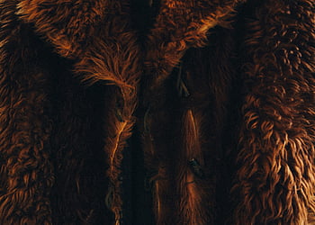 hnědý kožich, Luxusní srst, Bohatá textura, složité detaily, teplý kabát, Elegantní kabát, detailní pohled, hnědá kožešina, textura kožešin, Podrobnosti o kabátu, Elegantní srst
