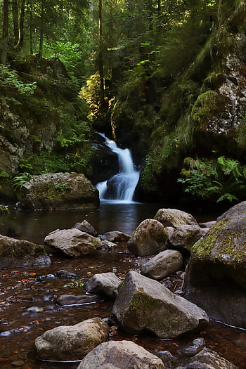 waterfall, bach, canyon, forest, nature, landscape, water, black Forest, high Black Forest, ravenna Gorge