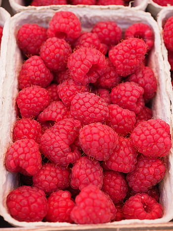 red raspberries, white container, vibrant raspberries, fresh raspberries, healthy snacking, red raspberry, white basket, fruit display, raspberry basket, fresh fruit, healthy fruit