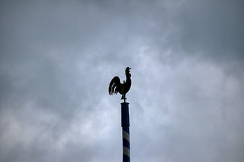 kohoutek, korouhvička, horní, směr větru, kov, postava, ukazatel směru větru, počasí, nebe, točit se, větrná korouhvička