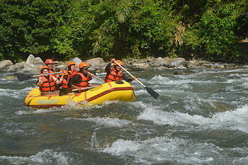 white-water rafting, adventurous adults, lush forest, thrilling experience, gusty river, rafting group, outdoor adventure, river rafting, forest setting, water sports, adventure tourism