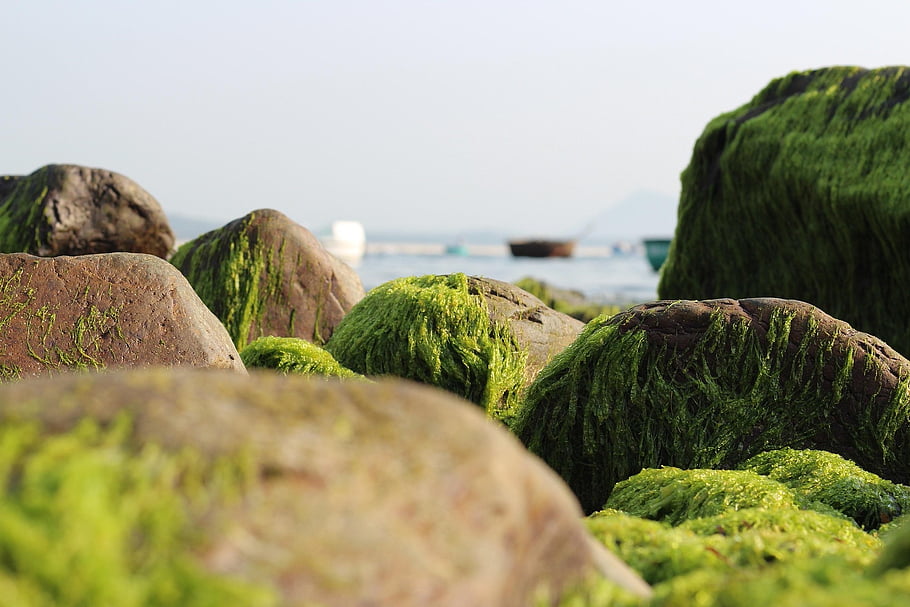 vietnam, asia, beach, nature, sunny, landscape, sea, summer, natural, travel, coast