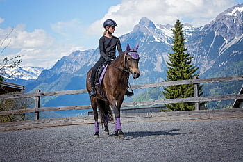kůň, dívka, lekce jízdy na koni, poník, jezdecký poník, jezdecký, koňský, zvíře, hnědý kůň, Pony Ride, Příroda