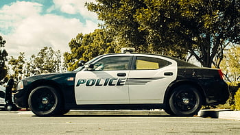 policejní auto, zaparkováno, venku, slunečná obloha, stromy, Pozadí, vozidlo, vymáhání práva, Hlídkové auto, během dne, Příroda