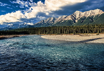 luk řeka, banff, Příroda, řeka, hory, les, stromy, scenérie, voda, alberta, Kanada