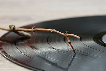 disco in vinile, piatto, vinile, analogico, musica, Audio, suono, naturalmente, hi-fi, corriere audio, nostalgia