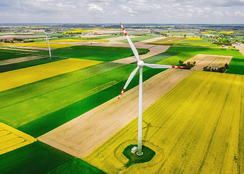 větrný mlýn, pole, krajina, větrných mlýnů, zemědělství, ekologie, řepky, horizont, wellness, pěstování, žlutá